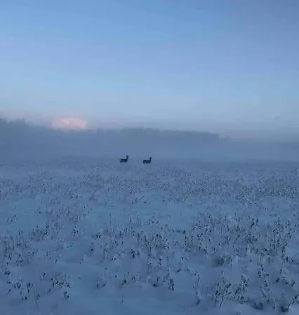 Vila Nordicstay Noarootsi Kastehein Or Loojangu *