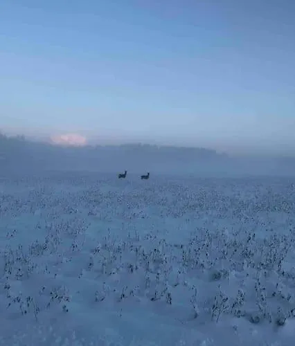 Villa Nordicstay Noarootsi Kastehein Or Loojangu *